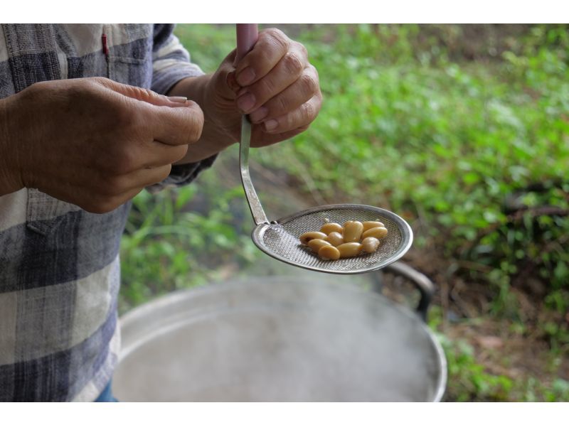 【長野県・茅野市】１日１組　特製ランチとおやつ付き、仕込んだ味噌1.5kg持ち帰り可能 焚火でつくる、プレミアム味噌づくり体験の紹介画像