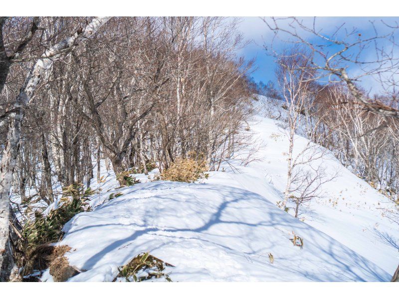 [Hokkaido, Noboribetsu] Muroran Snowshoe Tourの紹介画像