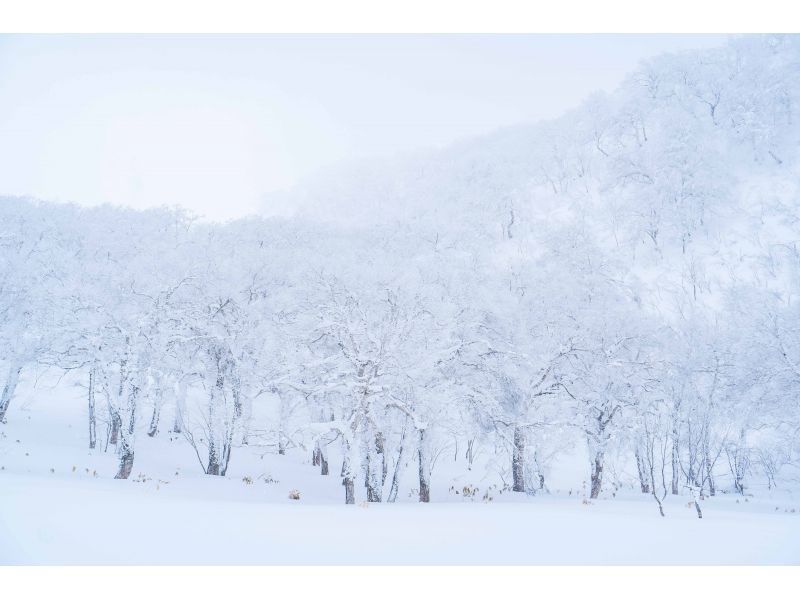 Half-day snowshoe tour to Orofure Passの紹介画像