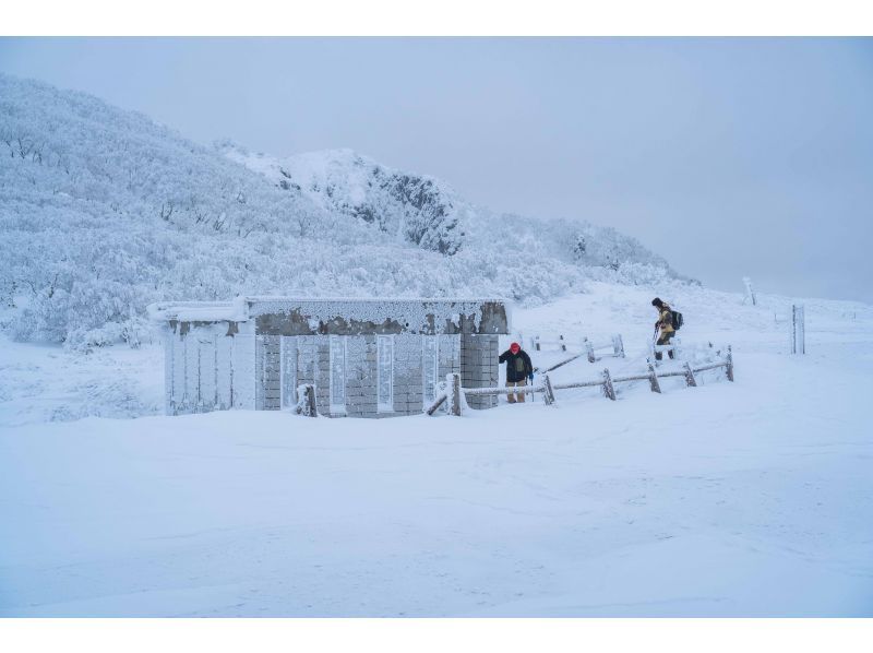 Half-day snowshoe tour to Orofure Passの紹介画像