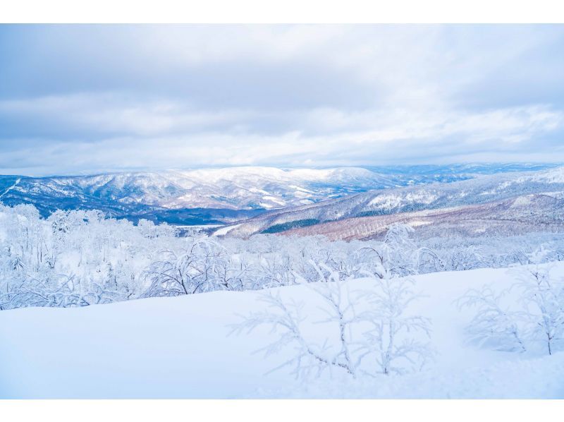 Half-day snowshoe tour to Orofure Passの紹介画像