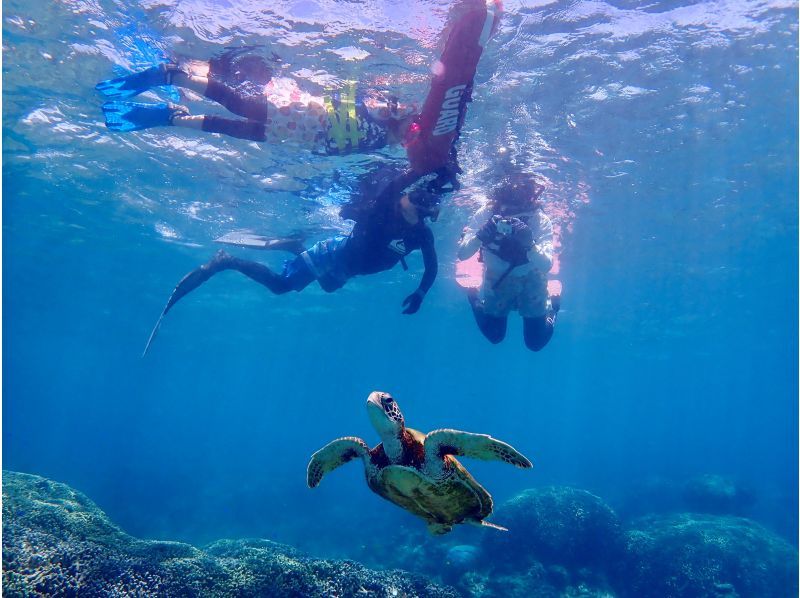 [Miyakojima / Private tour for 1 group] VIP sea turtle snorkeling! 100% chance of encountering turtles★ Ages 1 and up OK♪ A tour that caters to our guests! We will give you a gift of carefully selected photo data♪の紹介画像