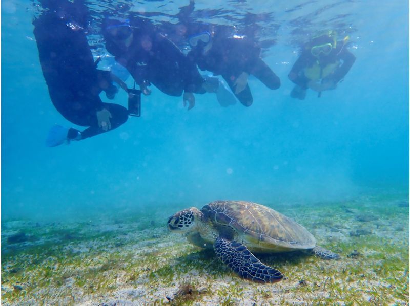 [Miyakojima / Private tour for 1 group] VIP sea turtle snorkeling! 100% chance of encountering turtles ★ Lowest price and high quality for private tours ♪ Carefully selected photo data as a gift ♪の紹介画像