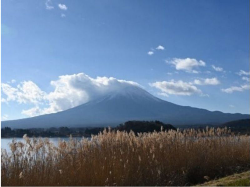 本場山梨で旬のシャインマスカット狩り食べ放題！富士山＆日本一の金運スポット＆花鑑賞バスツアー【029029-1339】の紹介画像