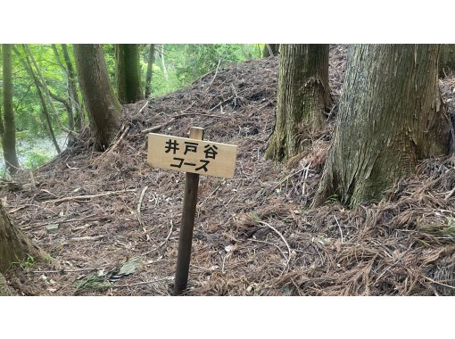 【三重・鈴鹿】Hello登山!鈴鹿山脈 入道ヶ岳「入道ヶ岳」 【三重・鈴鹿】Hello登山!鈴鹿山脈 入道ヶ岳「入道ヶ岳」