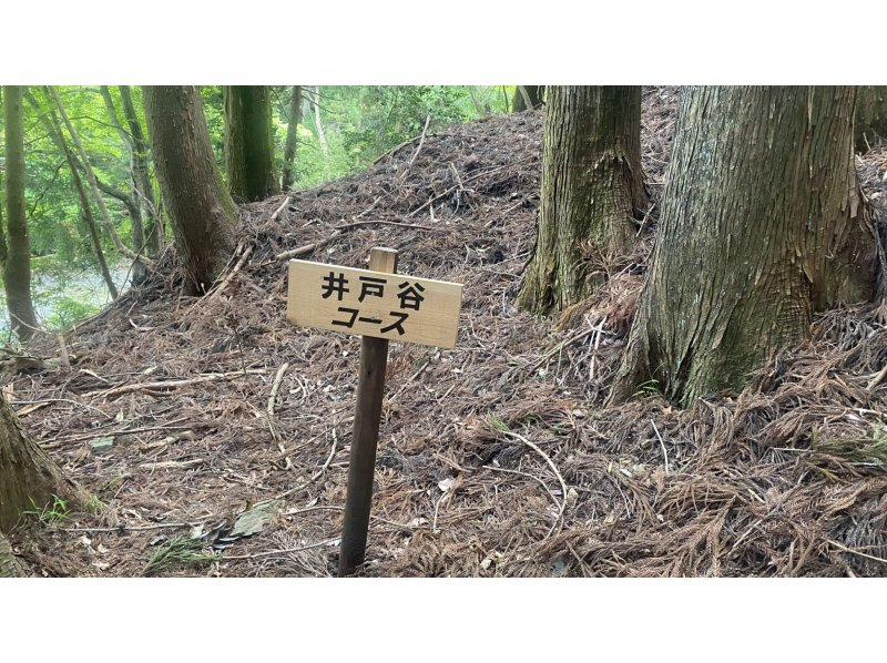 【三重・鈴鹿】Hello登山！鈴鹿山脈 入道ヶ岳「入道ヶ岳」女性限定ツアー♪の紹介画像