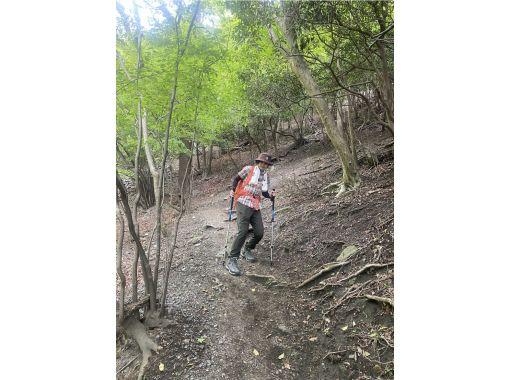 【三重・鈴鹿】Hello登山!鈴鹿山脈 入道ヶ岳「入道ヶ岳」 【三重・鈴鹿】Hello登山!鈴鹿山脈 入道ヶ岳「入道ヶ岳」