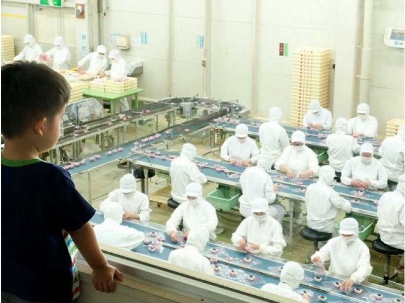 世界遺産を眺める絶景列車「富士山ビュー特急」と信玄餅詰め放題＆コスモス咲くガーデン見学バスツアー【029029-1343】の紹介画像