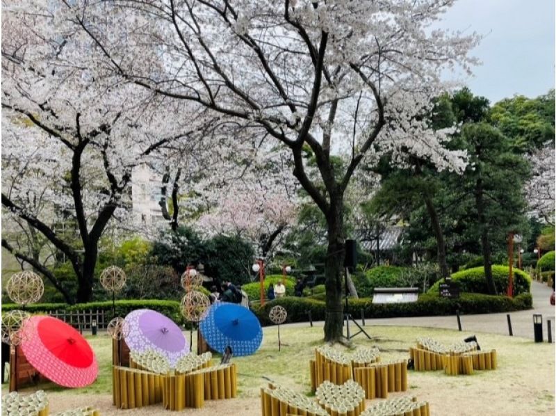 桜の庭園・高輪桜まつり＆目黒川桜のトンネル＆しだれ桜めぐりバスツアー～グランドプリンスホテル高輪にてランチ【029029‐1035】の紹介画像