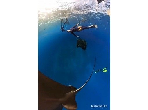 【石垣島】マンタ様とお近づきスキンダイビング&シュノーケル 【石垣島】マンタ様とお近づきスキンダイビング&シュノーケル