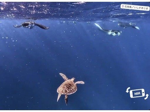 【石垣島】マンタ様とお近づきスキンダイビング&シュノーケル 【石垣島】マンタ様とお近づきスキンダイビング&シュノーケル