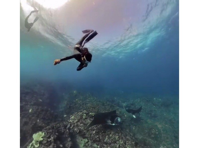 [Ishigaki Island] Skin diving and snorkeling with Manta Raysの紹介画像