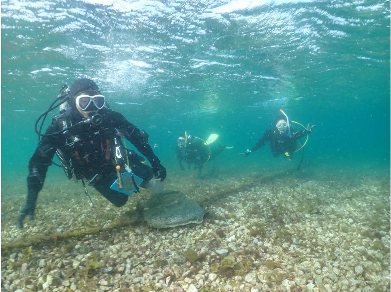 【静岡・沼津】穏やかな伊豆・大瀬崎の海で体験ダイビング  安心して潜れる♪トータル2時間の紹介画像