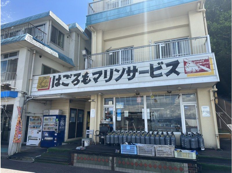【静岡・沼津】穏やかな伊豆・大瀬崎の海で体験ダイビング  安心して潜れる♪トータル2時間の紹介画像