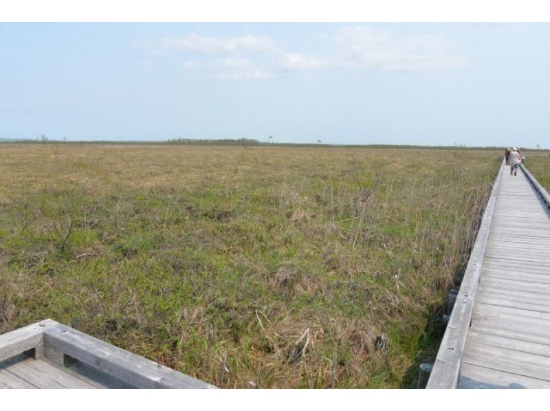 [Hokkaido, Kushiro] Touring by sightseeing taxi "Kushiro Marsh Course B: Viewing the Kushiro Marsh from the East"の紹介画像