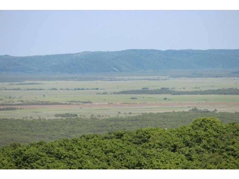 [Hokkaido, Kushiro] Touring by sightseeing taxi "Kushiro Marsh Course B: Viewing the Kushiro Marsh from the East"の紹介画像