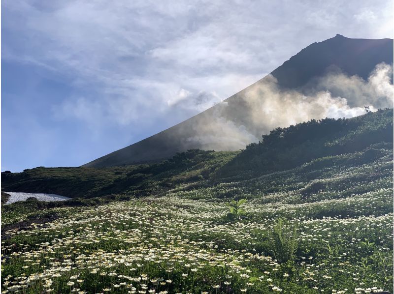 [Hokkaido, Sapporo departure and arrival] Asahidake hiking tour with a professional guideの紹介画像