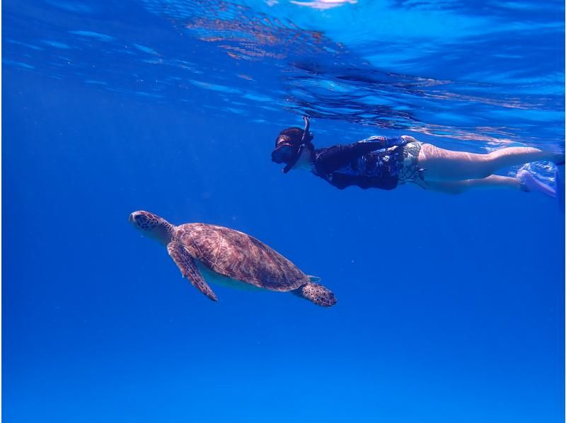 [Okinawa, Kerama Islands, Zamami Island] Limited to November 2024! Day trip from Naha & empty-handed OK! Enjoy the sea of Zamami! SUP & snorkel tourの紹介画像