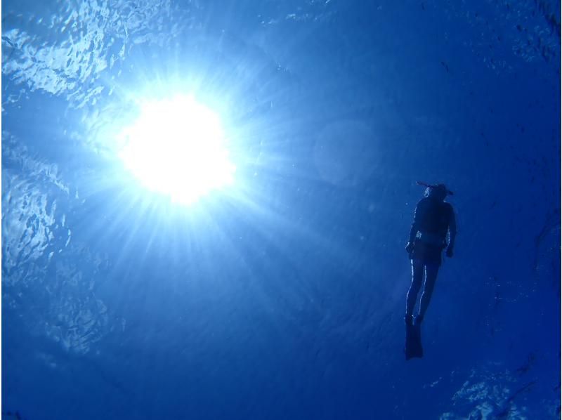 【沖縄・慶良間諸島・座間味島】2024年１１月限定！ 那覇から日帰り&手ぶらOK！座間味の海を満喫しよう！SUP＆シュノーケルツアーの紹介画像