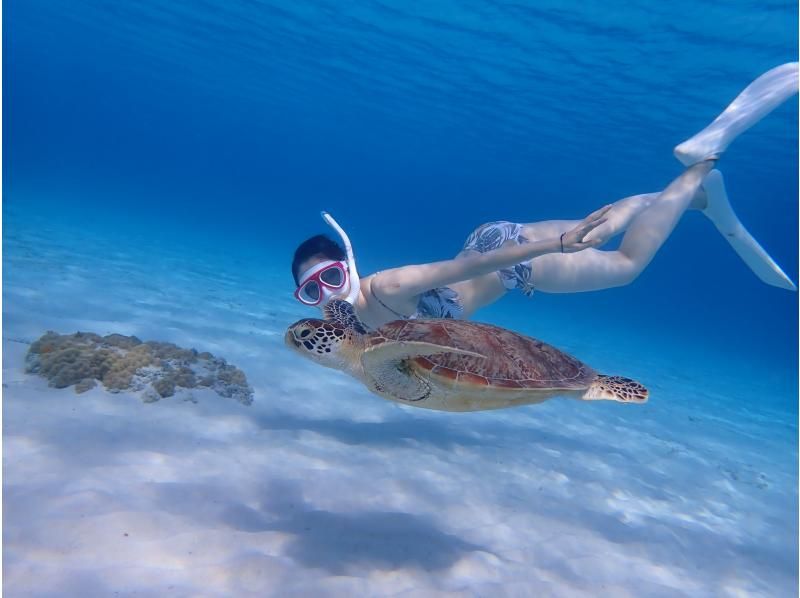 [Okinawa, Kerama Islands, Zamami Island] Limited to November 2024! Day trip from Naha & empty-handed OK! Enjoy the sea of Zamami! SUP & snorkel tourの紹介画像