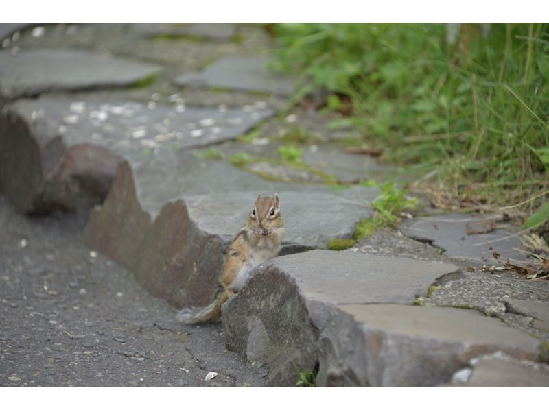 [Hokkaido, Kushiro] A tour of Akan National Park by sightseeing taxi "Lake Mashu and Lake Kussharo Course"の紹介画像