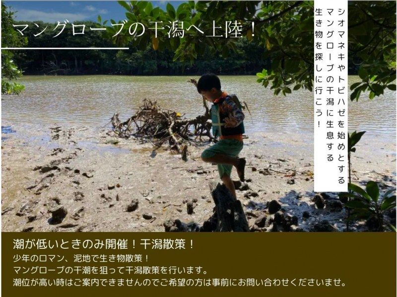 【石垣島/貸切】人気のツアーを貸切に！宮良川マングローブカヤック♪干潟散策もできちゃう♪【1歳～75歳可】【撮影付き】【無料送迎】の紹介画像
