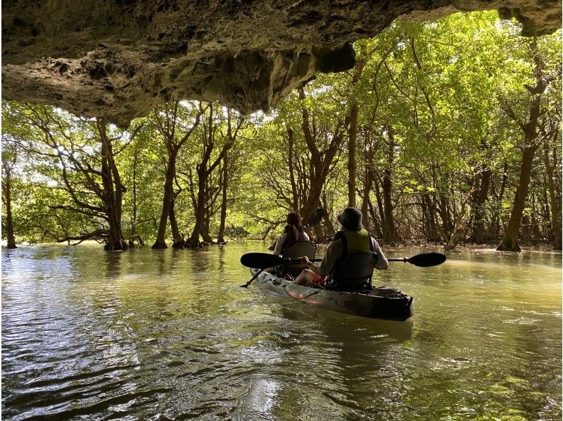 【石垣島/貸切】人気のツアーを貸切に！宮良川マングローブカヤック♪干潟散策もできちゃう♪【1歳～75歳可】【撮影付き】【無料送迎】の紹介画像