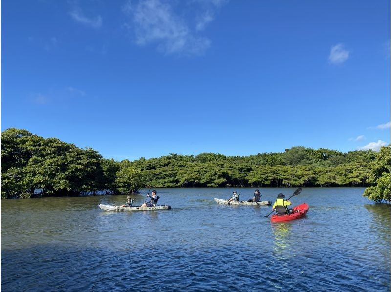 【石垣島/送迎可】人気のツアーを貸切に！宮良川マングローブカヤック♪干潟散策もできちゃう♪◆撮影付き◆貸切プランの紹介画像