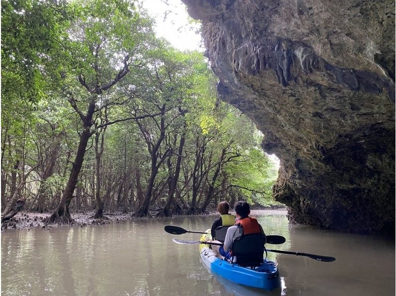 【石垣島/貸切】人気のツアーを貸切に！宮良川マングローブカヤック♪干潟散策もできちゃう♪【1歳～75歳可】【撮影付き】【無料送迎】の紹介画像