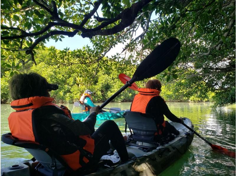 【石垣島/貸切】人気のツアーを貸切に！宮良川マングローブカヤック♪干潟散策もできちゃう♪【1歳～75歳可】【撮影付き】【無料送迎】の紹介画像