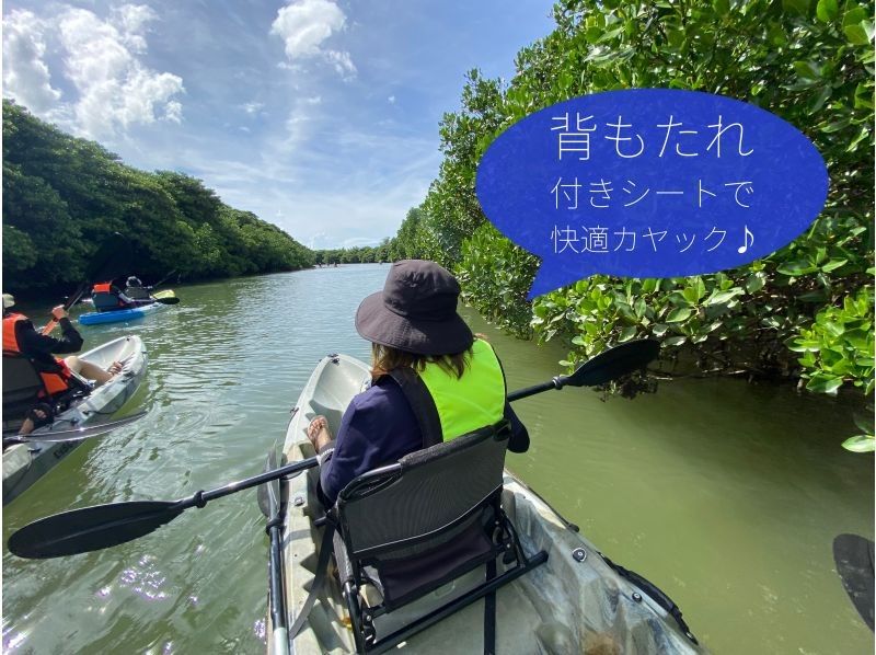 【石垣島/2時間】煌びやかな夕日を眺めながらゆったりクルージング♪サンセットマングローブカヤック！【撮影付き】の紹介画像