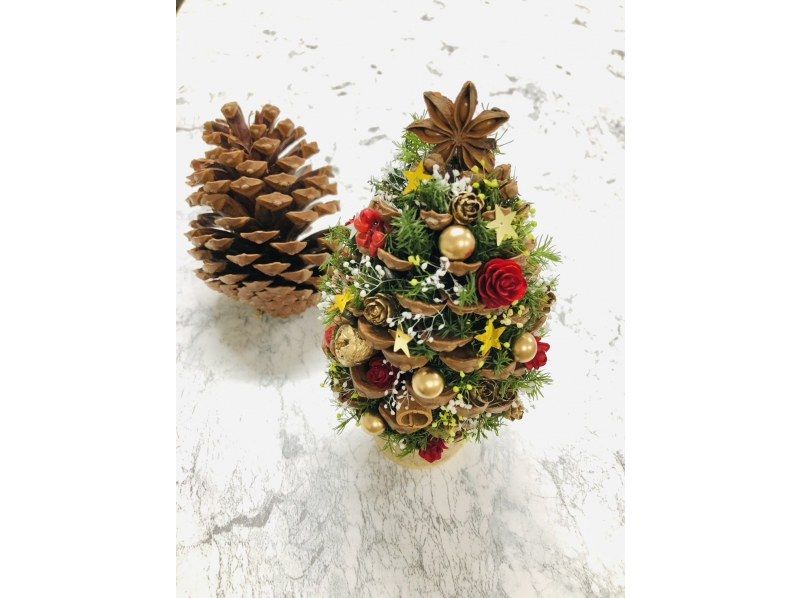 [Miyagi/Sendai City] Limited price on November 13th! Natural and cute! Let's make a pine cone tree! [Explorer Type A]の紹介画像