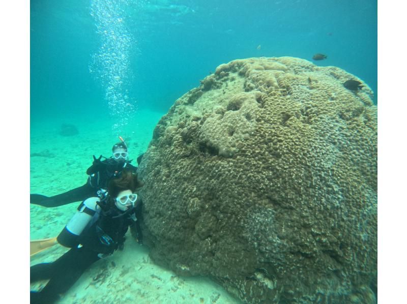 SALE! [Limited to 2 people, 1.5 hour course!] Experience diving on a safe small boat for beginners (GoPro photo service included, also recommended for women)の紹介画像