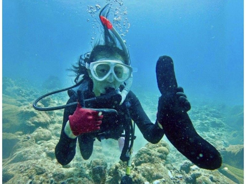 [Limited to 2 people, exclusive guide] Churaumi experience diving (GoPro photo service included, also recommended for women)の紹介画像