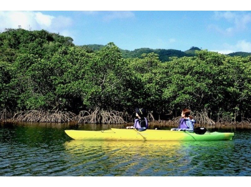 [沖繩/西表島]「藏瀑布」紅樹林獨木舟＆健行（由布島水牛免費接送/早上緩慢出發）の紹介画像