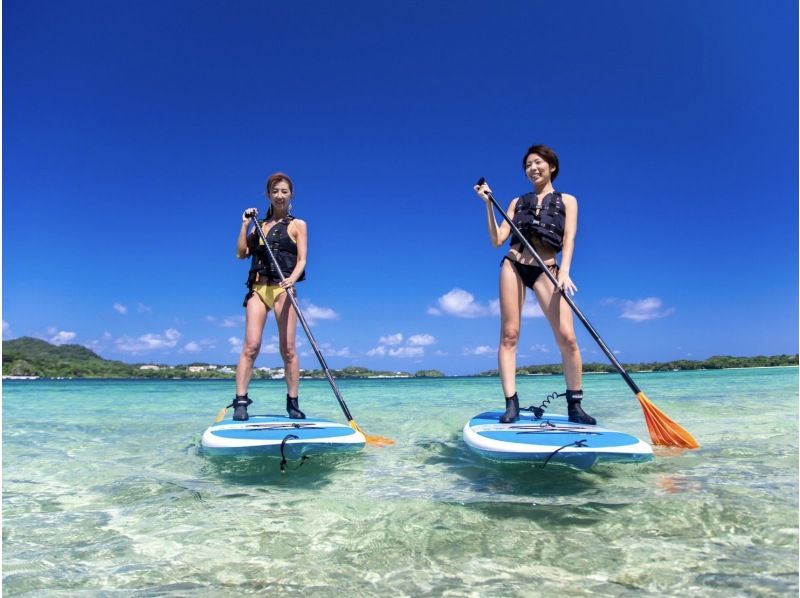 【石垣島/半日】石垣島2大定番ツアーを半日に濃縮！川平湾SUP/カヌー＆青の洞窟シュノーケリング★ウミガメを探そう★写真無料の紹介画像