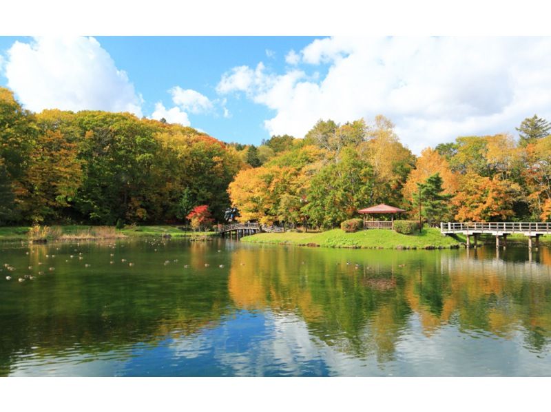 SALE! Hoheikyo and Fukidashi Park Autumn Foliage Day Trip Tour (Departing from Sapporo)の紹介画像