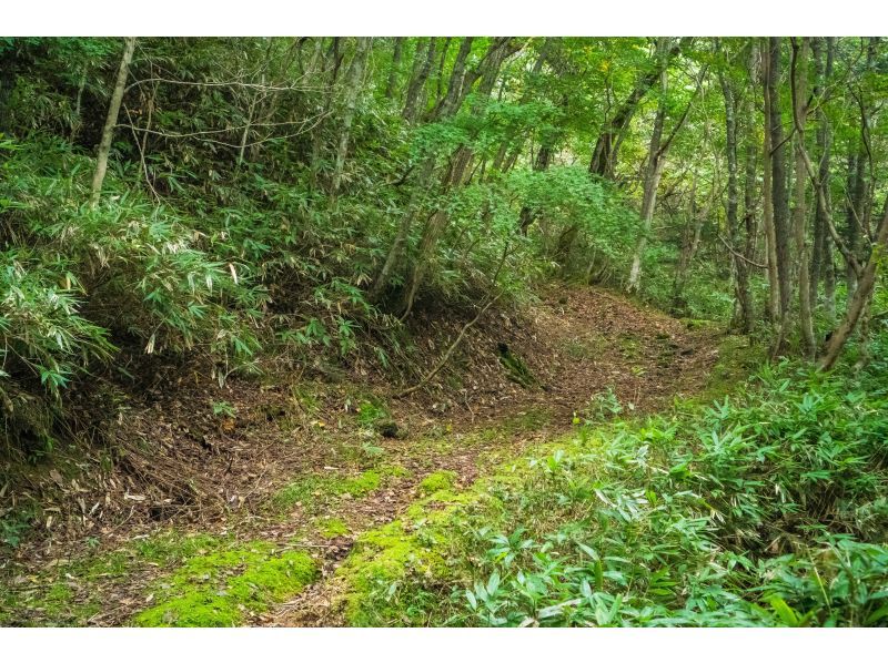 【北海道・登別】橘湖ハイキングツアーの紹介画像