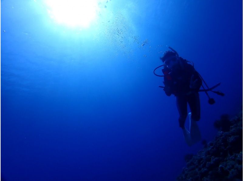 【沖縄・慶良間】ケラマ諸島チービシエリアで海遊び！写真無料プレゼント♪ボート体験ダイビングの紹介画像