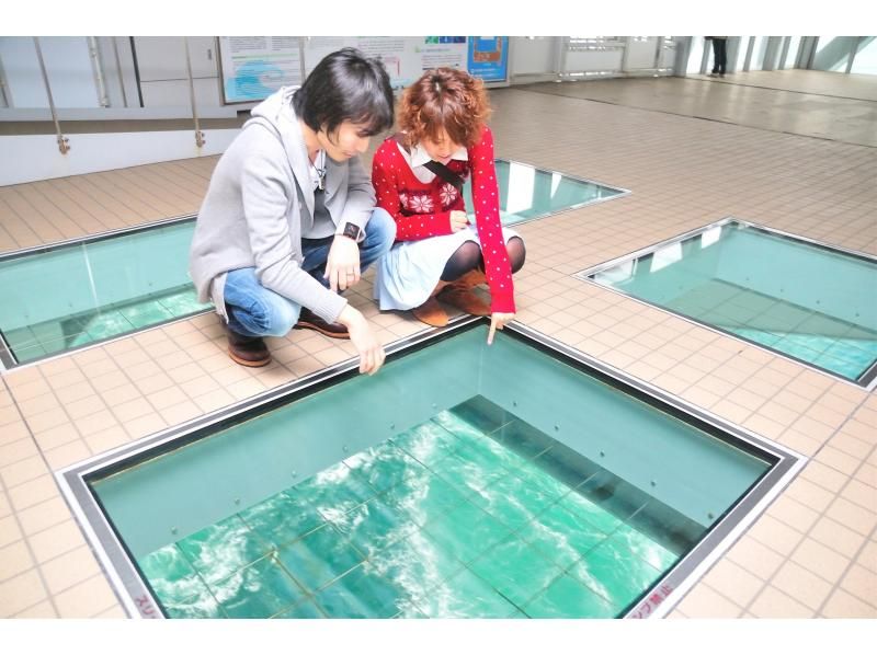 【徳島・鳴門】専用ガイド＆車で巡る　徳島のグルメ・文化・自然を満喫できる1dayツアーの紹介画像