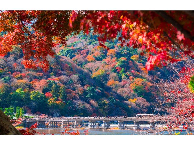 【日帰り】2024冬限定 日帰りツアー 美山かやぶきの里・雅荘村・雪灯籠点灯イベント | 大阪発の紹介画像