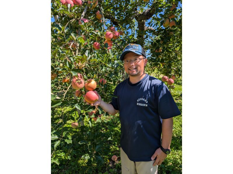 【山形・朝日】山形屈指のりんごの産地！朝日町「和合のりんご狩り」無料入浴付き♪ファミリーやカップルにおすすめ♪の紹介画像