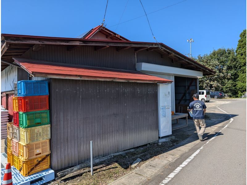 [山形/朝日]山形领先的苹果产区！旭町“和果苹果采摘”包含免费入浴♪推荐给家庭或情侣♪の紹介画像