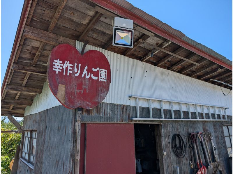 [山形/朝日]山形领先的苹果产区！旭町“和果苹果采摘”包含免费入浴♪推荐给家庭或情侣♪の紹介画像