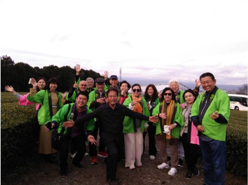 [Shizuoka/Fuji] Tea picking experience, tea field walk, tea factory tour and small tea ceremony! Copyの紹介画像