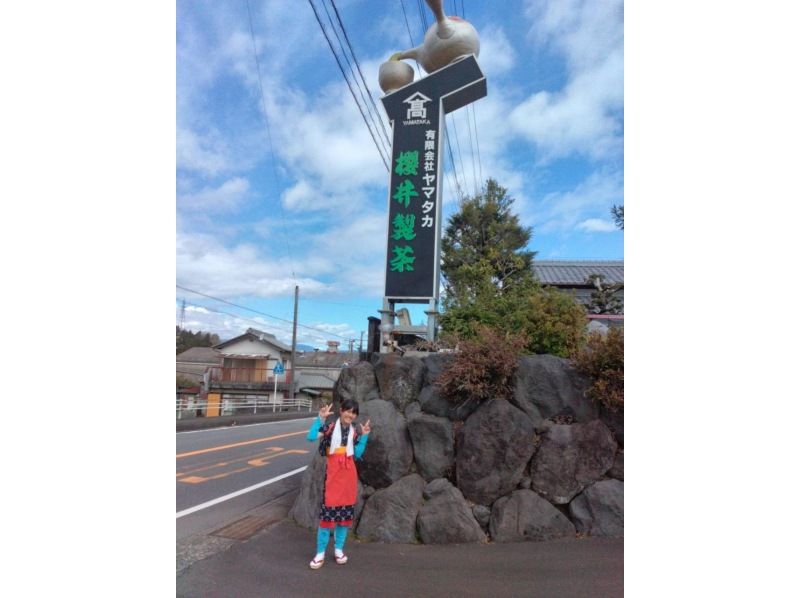 【静岡・富士】お茶摘み体験・茶畑散歩・茶工場見学！の紹介画像