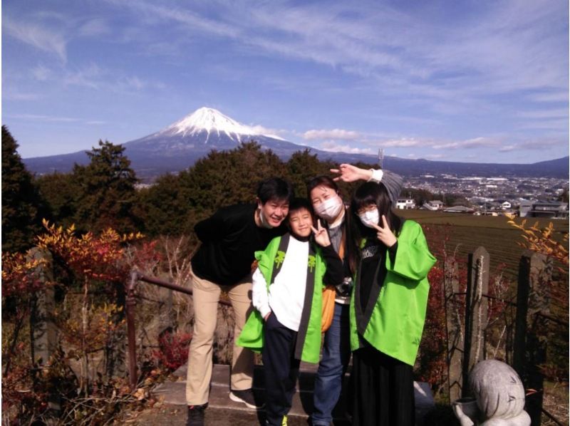 【静岡・富士】お茶摘み体験・茶畑散歩・茶工場見学！の紹介画像