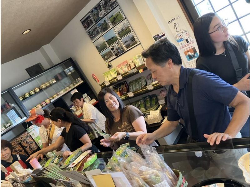 [Shizuoka/Fuji] Tea picking experience, tea field walk, tea factory tour and small tea ceremony! Copyの紹介画像