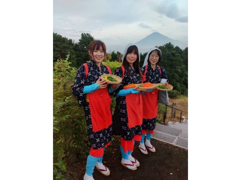 [Shizuoka/Fuji] Tea picking experience, tea field walk, tea factory tour and small tea ceremony! Copyの紹介画像