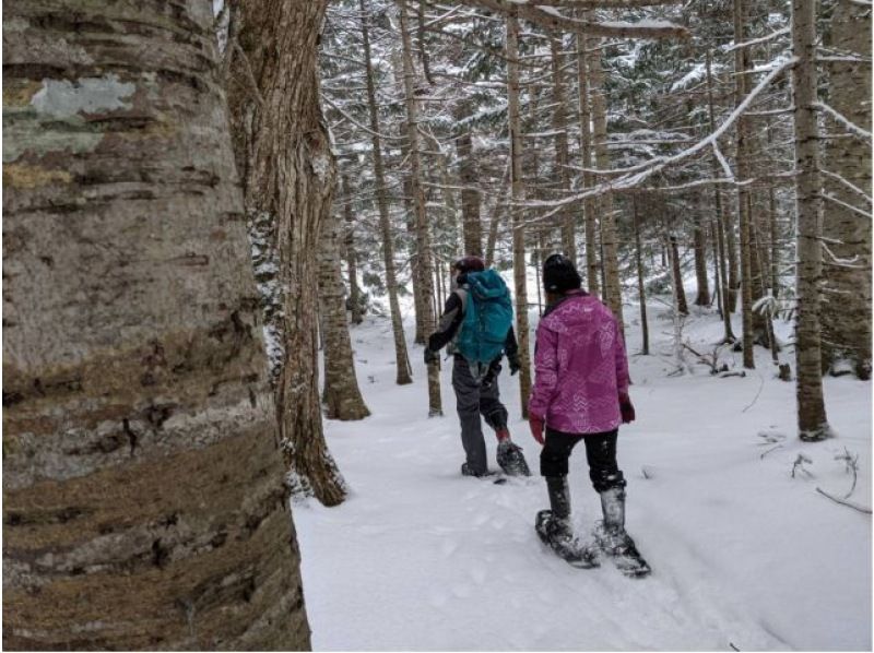 [Hokkaido, Shiretoko] Primeval forest snowshoe tour. Snowshoeing through the World Natural Heritage Site in midwinter and wildlife watching tour (free rental of skiwear, etc.)の紹介画像